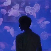 入口侦探