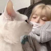 网址收藏家
